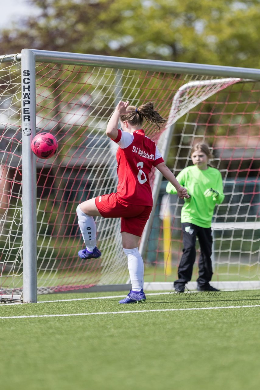 Bild 213 - wBJ SV Wahlstedt - TSV Wentorf-Dandesneben : Ergebnis: 7:1